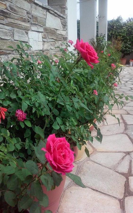 Hotel Sevilli Agios Ioannis  Екстериор снимка